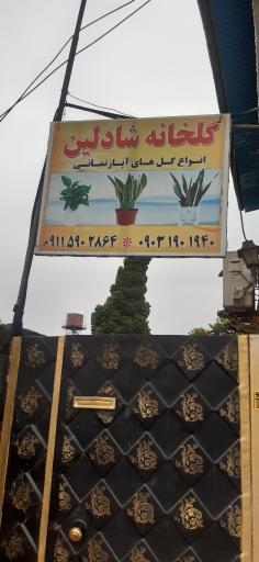 عکس گلخانه شادلین 