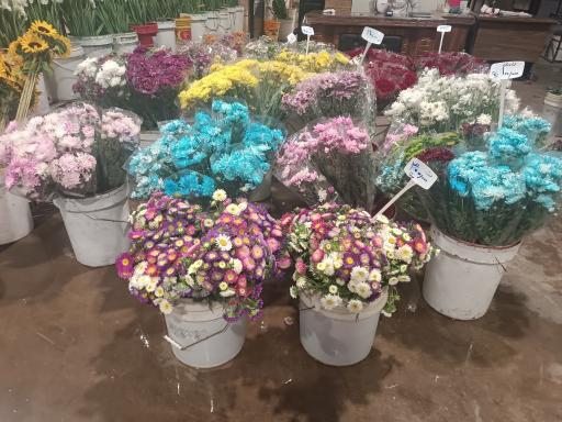 عکس بازار گل و گیاه ارغوان