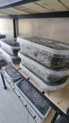 عکس فروشگاه دیجی مزرعه