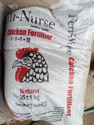 عکس نهالستان و گلخانه دکتر ایزدی