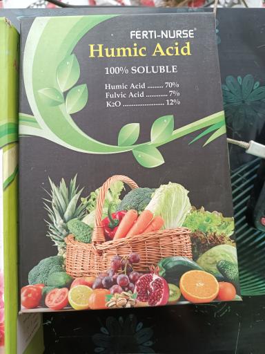 عکس نهالستان و گلخانه دکتر ایزدی