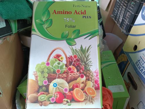 عکس نهالستان و گلخانه دکتر ایزدی