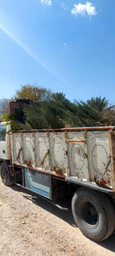 عکس نهالستان و گلخانه دکتر ایزدی