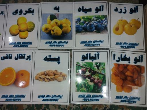 عکس نهالستان و گلخانه دکتر ایزدی