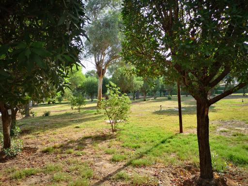 عکس پارک شهدای هفتم تیر