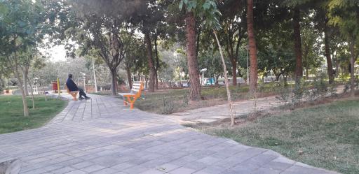 عکس بوستان بنفشه