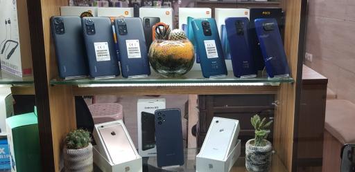 عکس فروشگاه کاکتوس موبایل