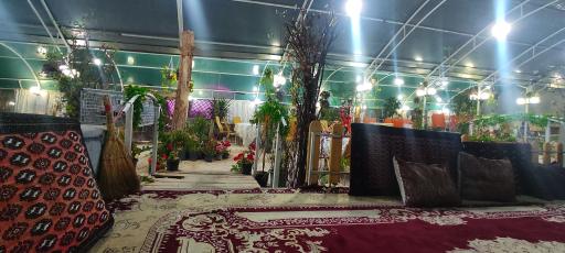 عکس باغ رستوران شب بو