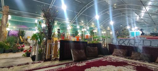 عکس باغ رستوران شب بو