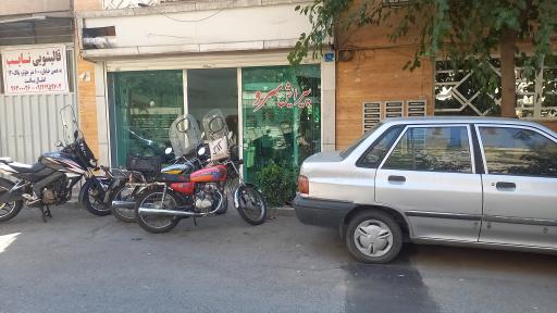 پیرایش سرو 