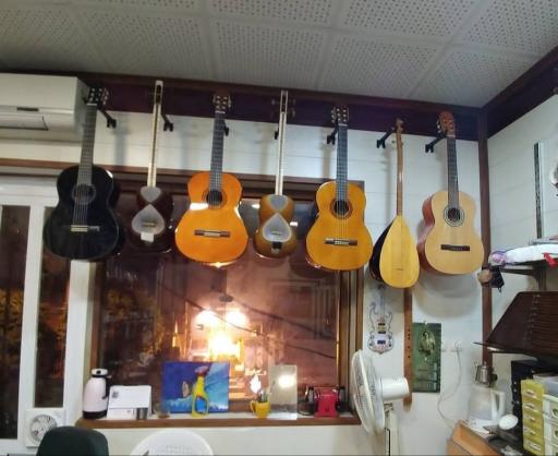 فروشگاه موسیقی شیوا 