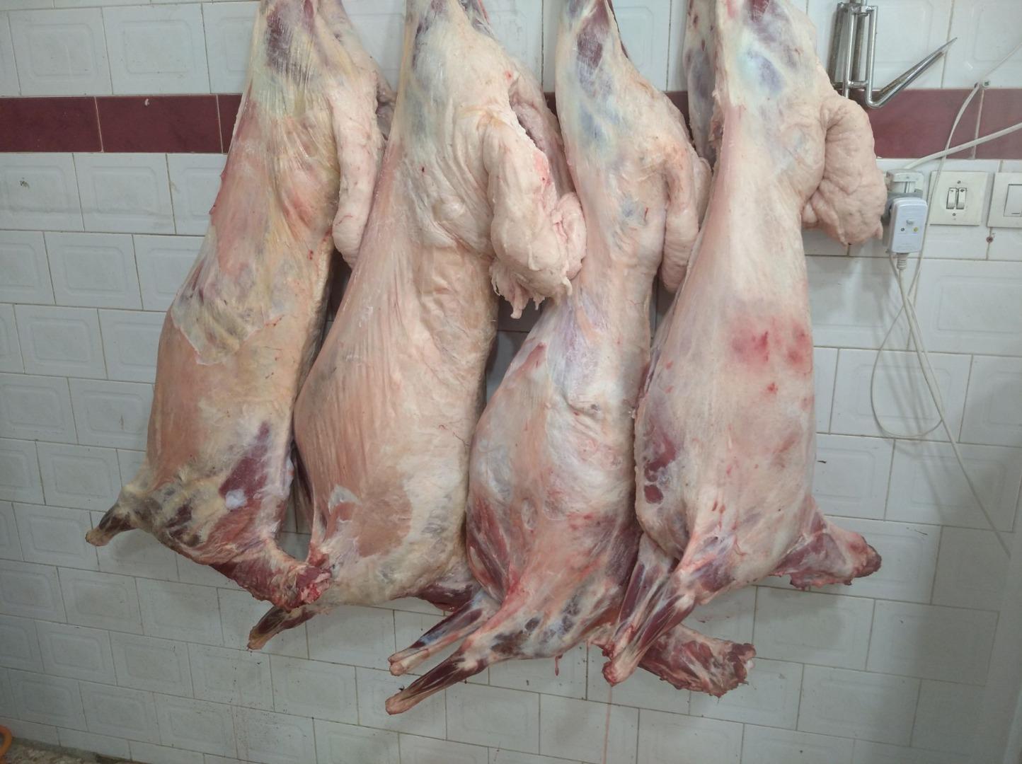 عکس قصابی قلی پور 