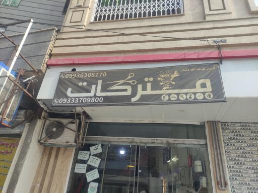 عکس پیرایش مستر کات