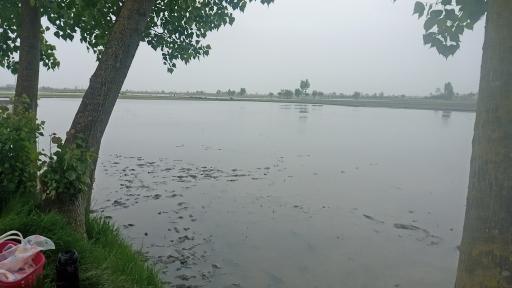 عکس بیش محله