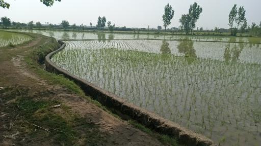 بیش محله