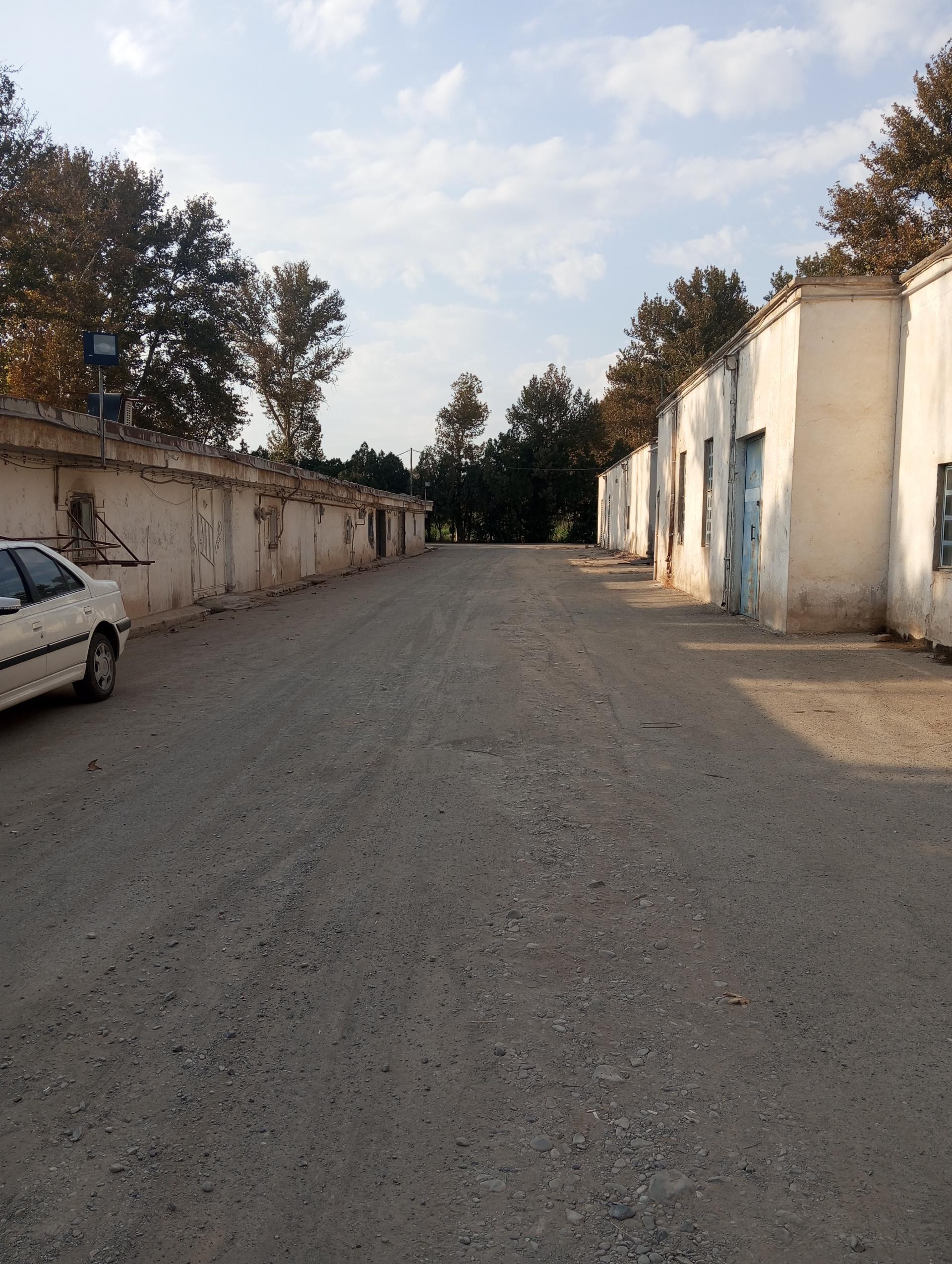 عکس مجتمع تولیدی کشاورزی پدم