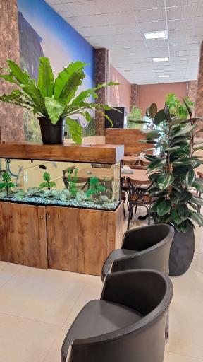 عکس رستوران سرحدی