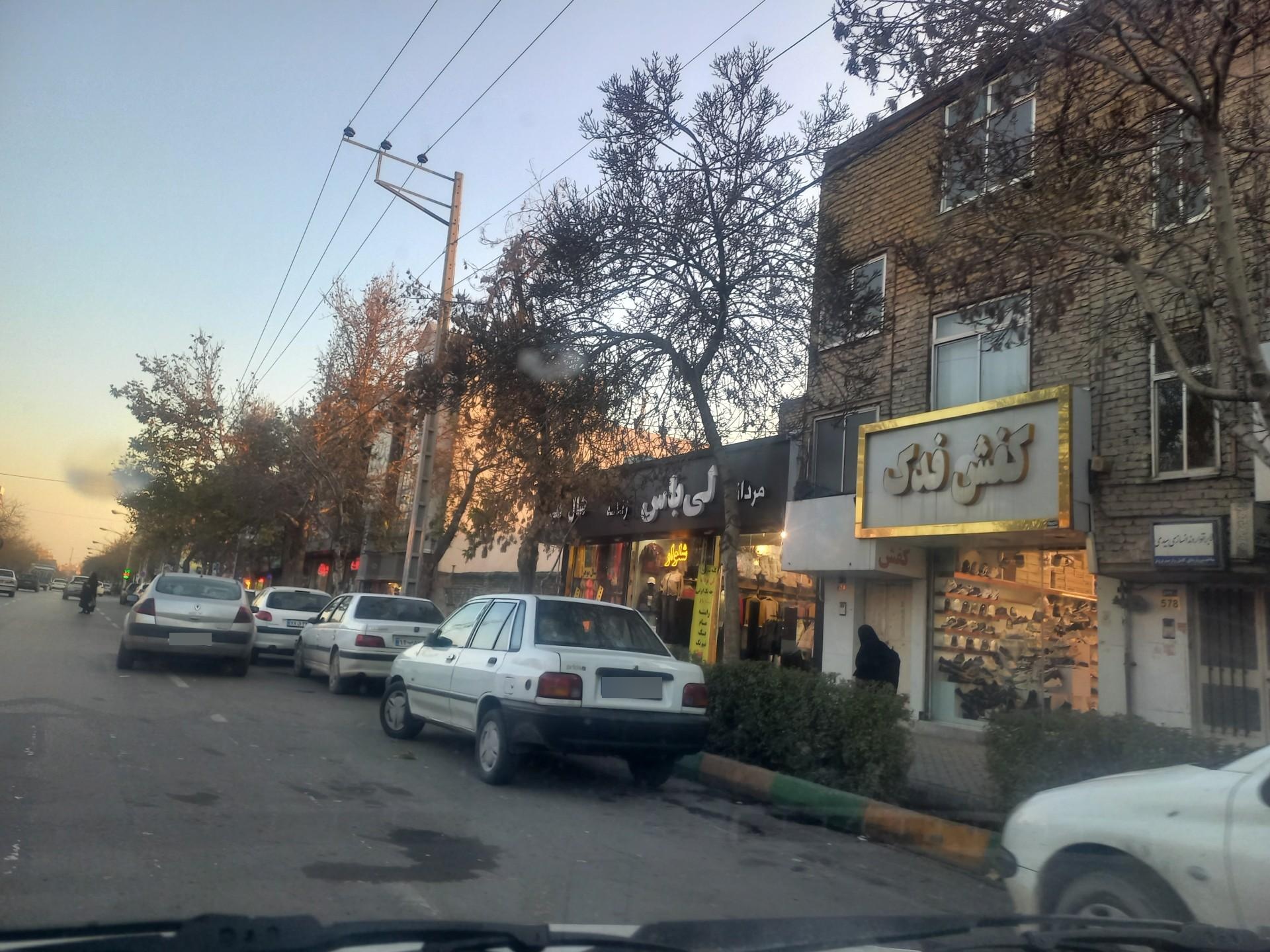 عکس کفش فدک