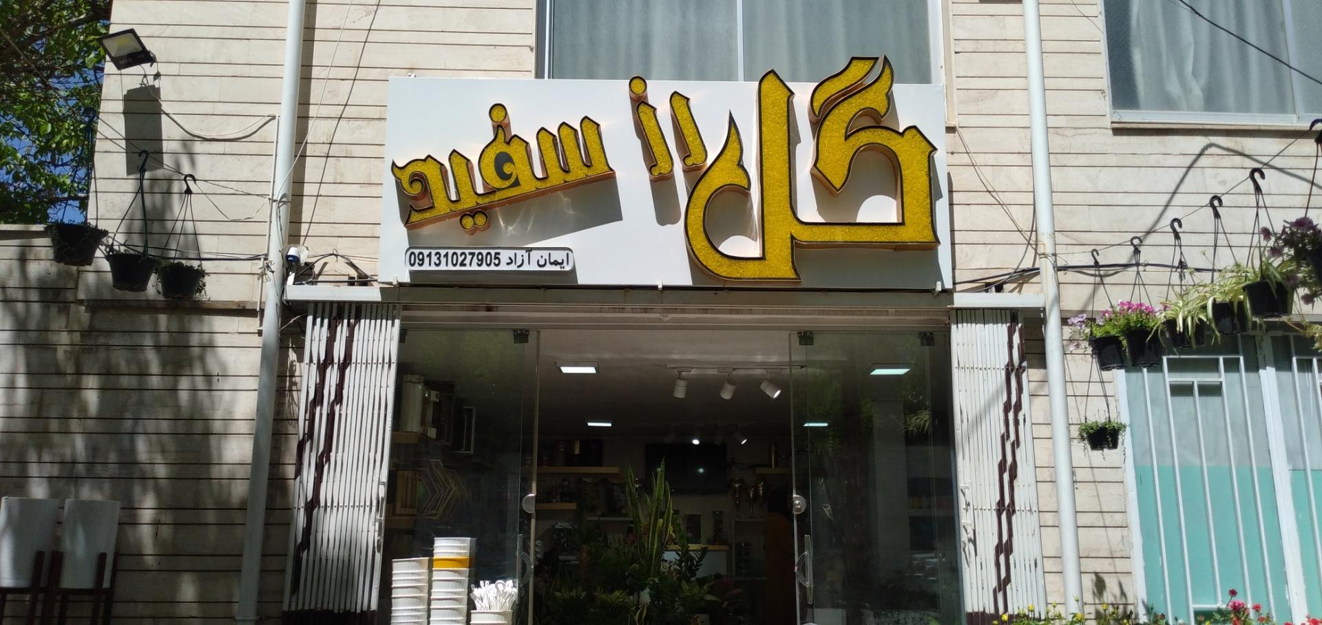 عکس گل رز سفید