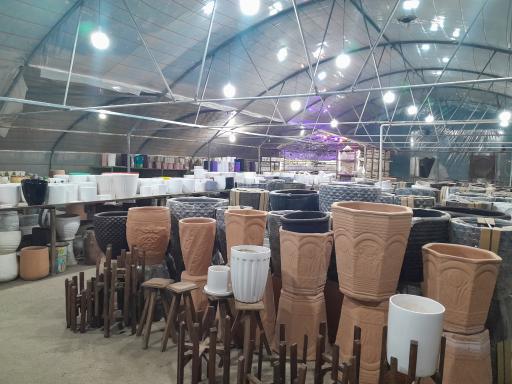 عکس گلخانه پامچال