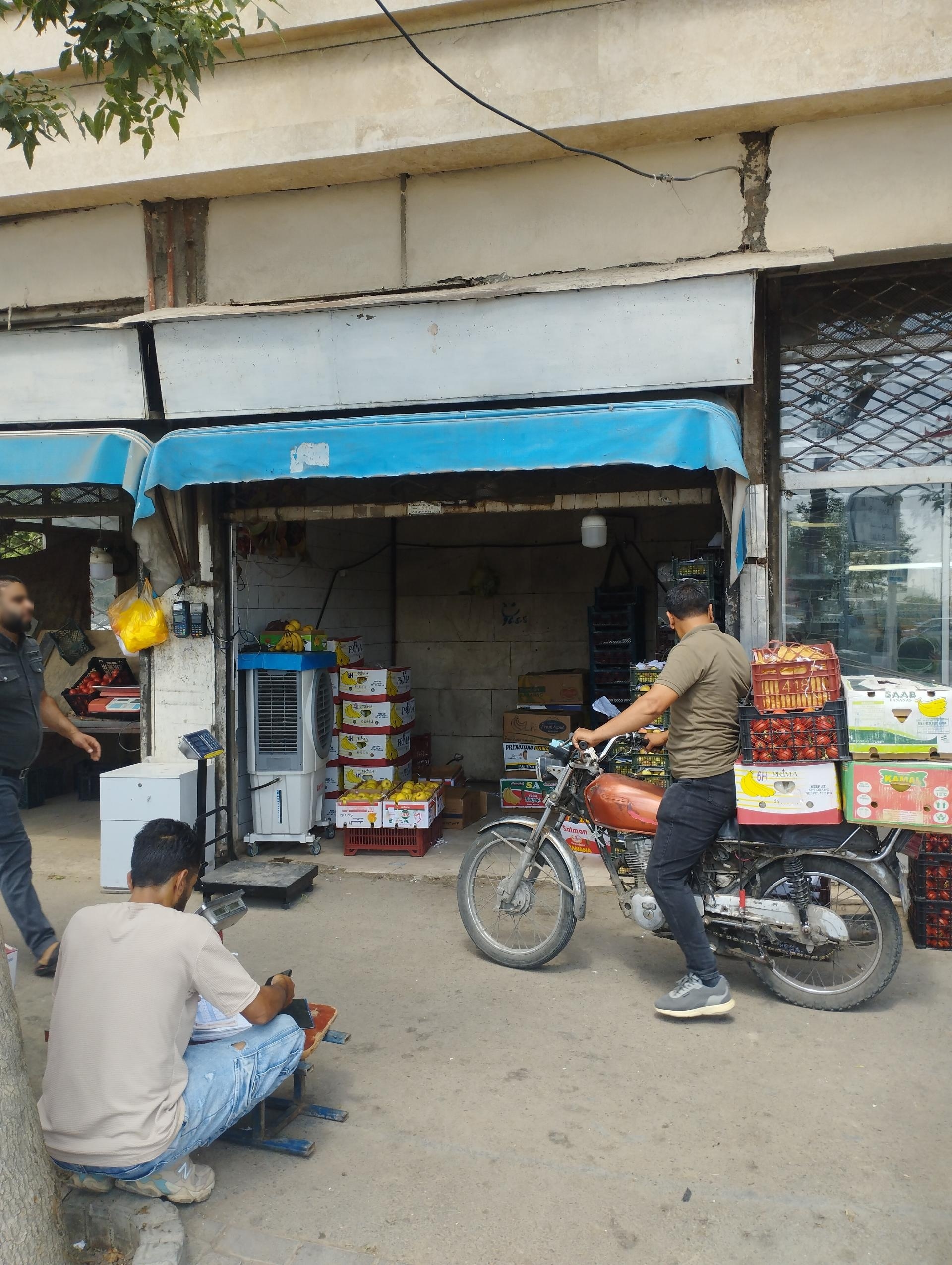 عکس میوه فروشی