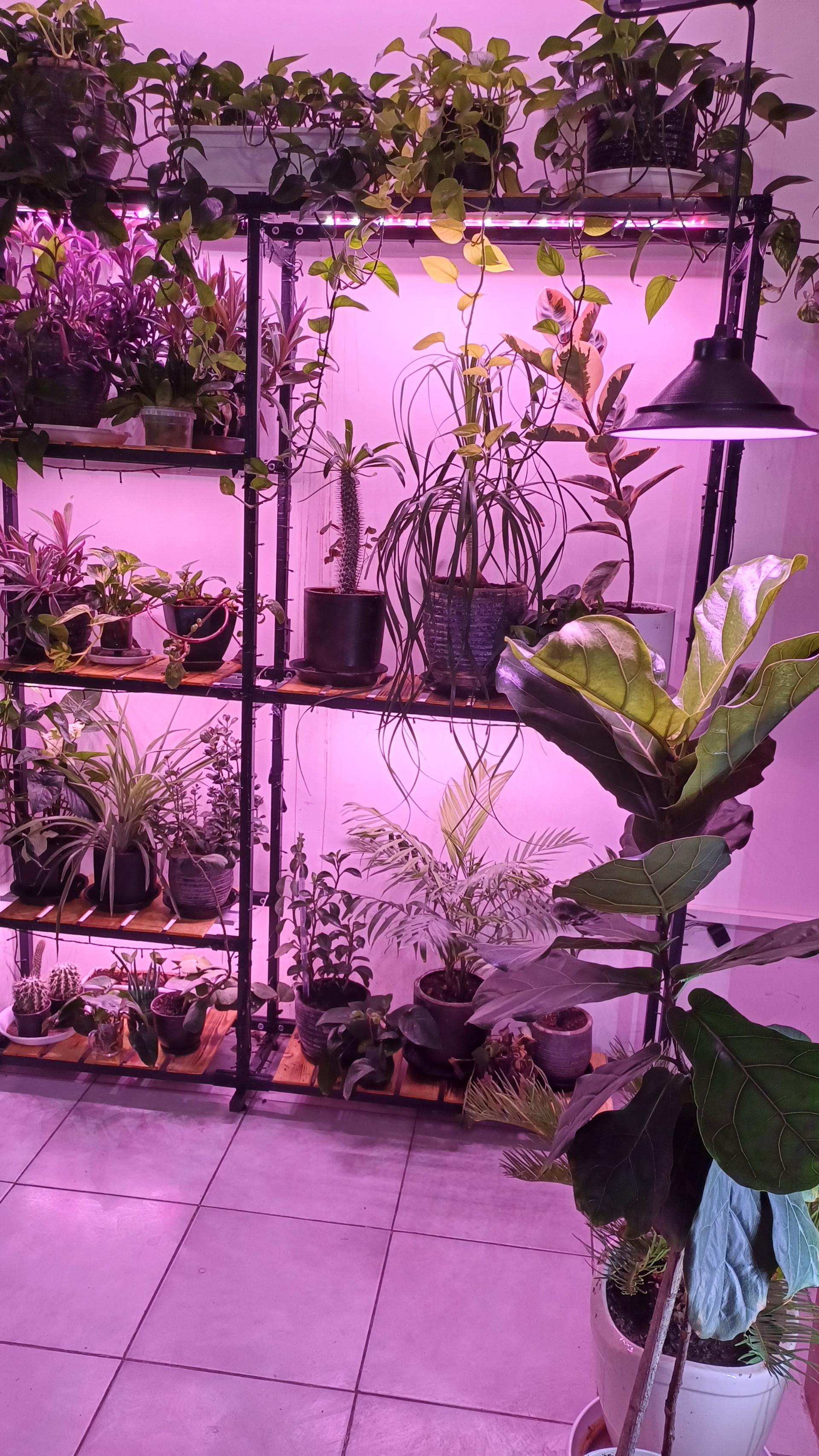 عکس شرکت هاوین الکتریک 