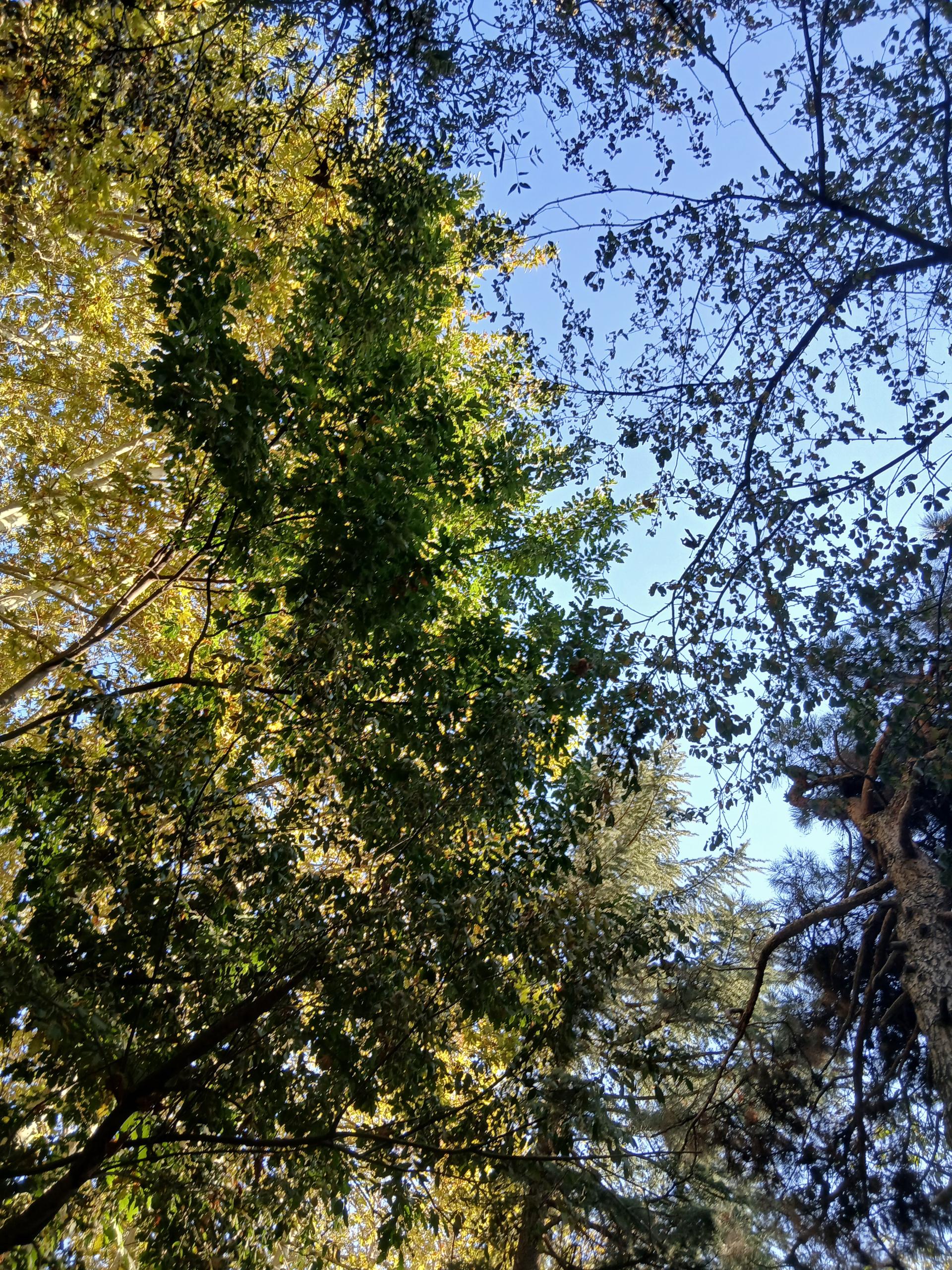 عکس بوستان جمشیدیه