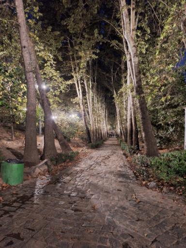 عکس بوستان جمشیدیه