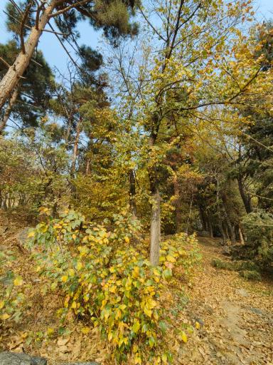 عکس بوستان جمشیدیه