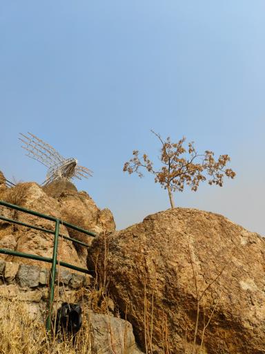 عکس بوستان جمشیدیه