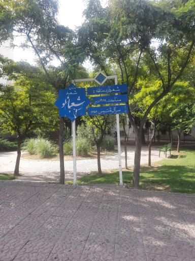 عکس بوستان شعبانلو