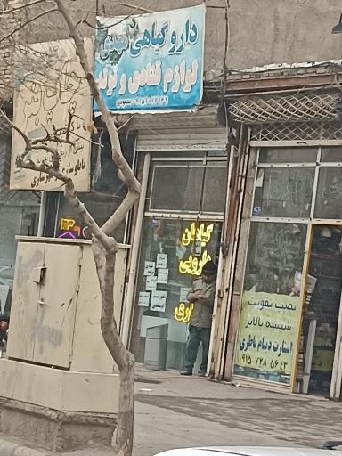 عکس گیاهان دارویی مهدی