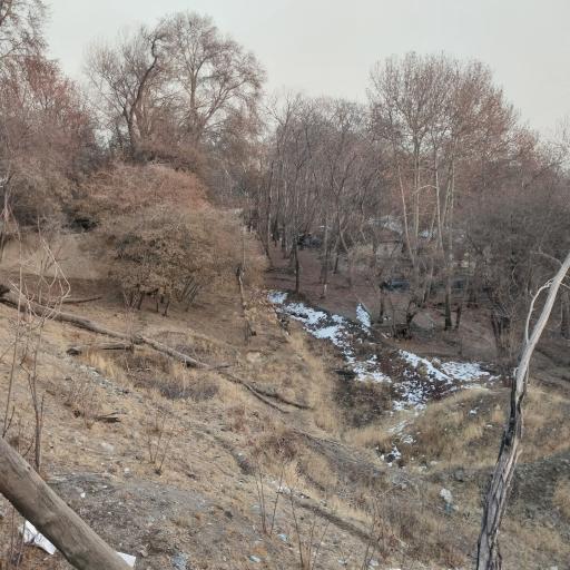 عکس بوستان جمشیدیه