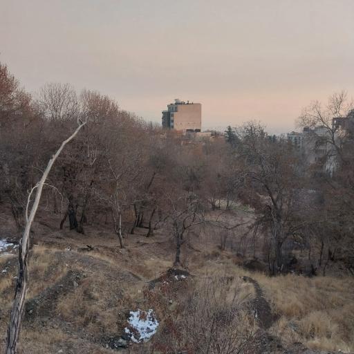 عکس بوستان جمشیدیه