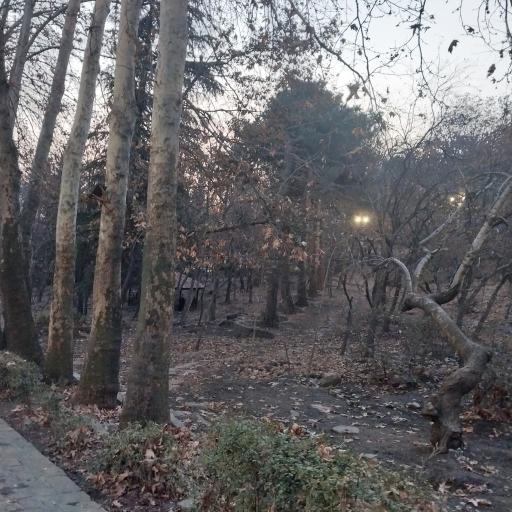 عکس بوستان جمشیدیه