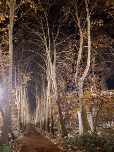 عکس بوستان جمشیدیه