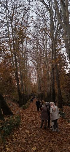 عکس بوستان جمشیدیه