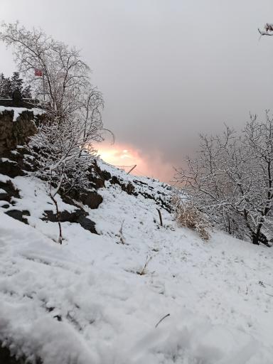 عکس بوستان جمشیدیه