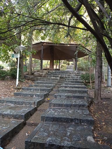 عکس بوستان جمشیدیه