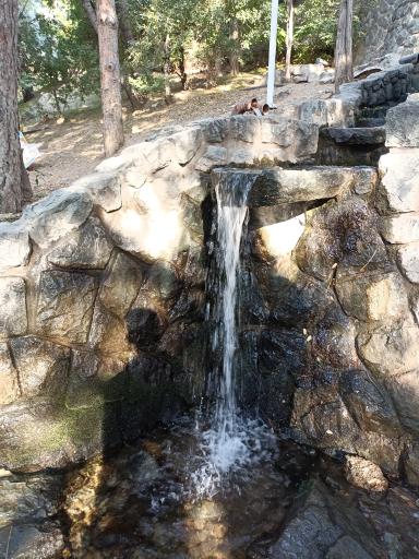 عکس بوستان جمشیدیه