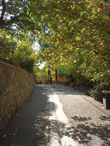 عکس بوستان جمشیدیه