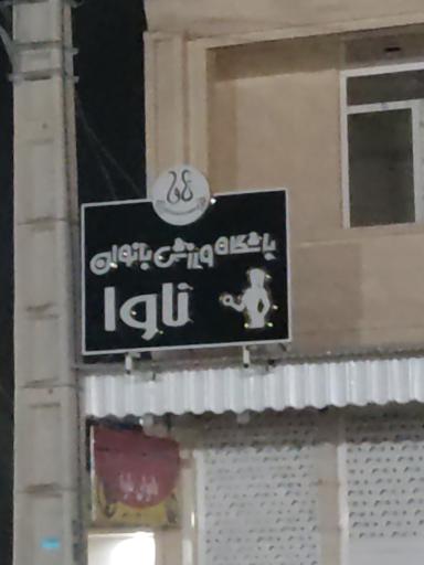 عکس باشگاه ورزشی بانوان ناوا