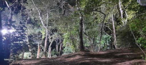 عکس بوستان جمشیدیه