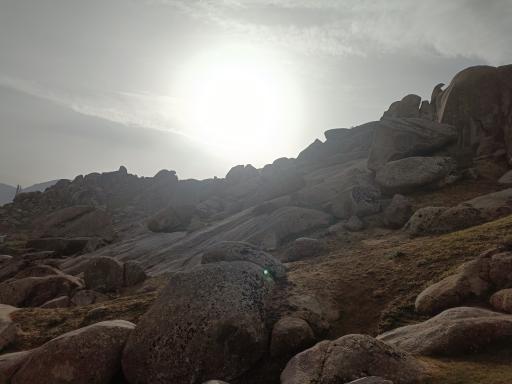 عکس سیلوانه