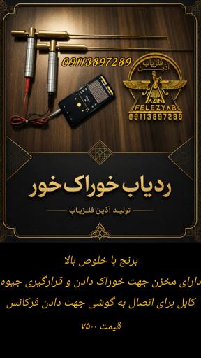 عکس آذین فلزیاب
