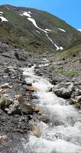 عکس سیلوانه