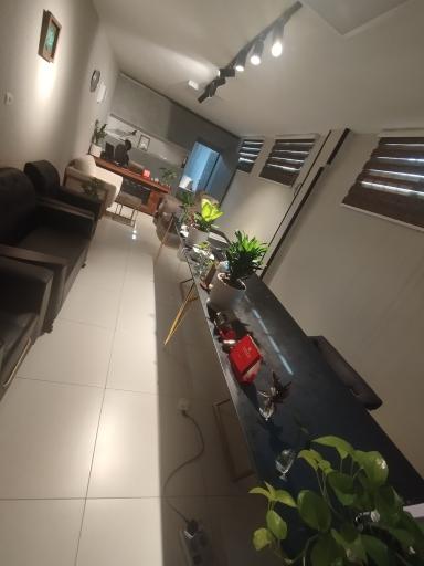 عکس نوشوکا گشت رادکان