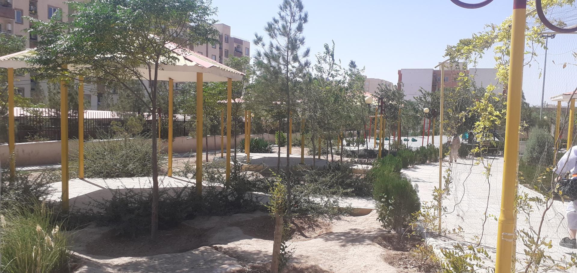 عکس بوستان زیتون