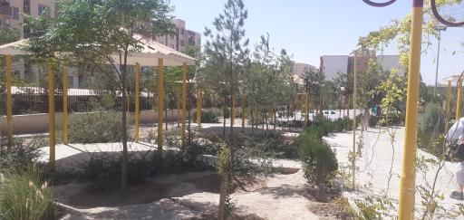 عکس بوستان زیتون