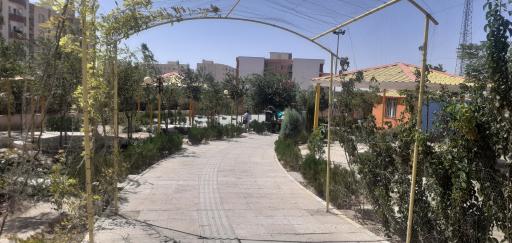 عکس بوستان زیتون